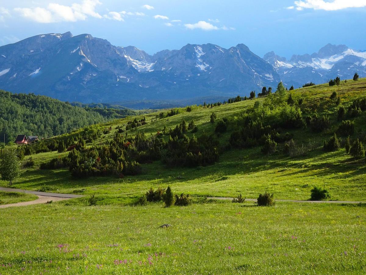 Durmitor View Lodge Žabljak Esterno foto